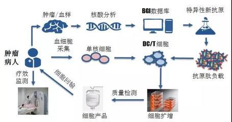 華大吉諾因攜「腫瘤新生抗原」誘導(dǎo)的CTL技術(shù)亮相AACR 引領(lǐng)個(gè)性化免疫治療新浪潮